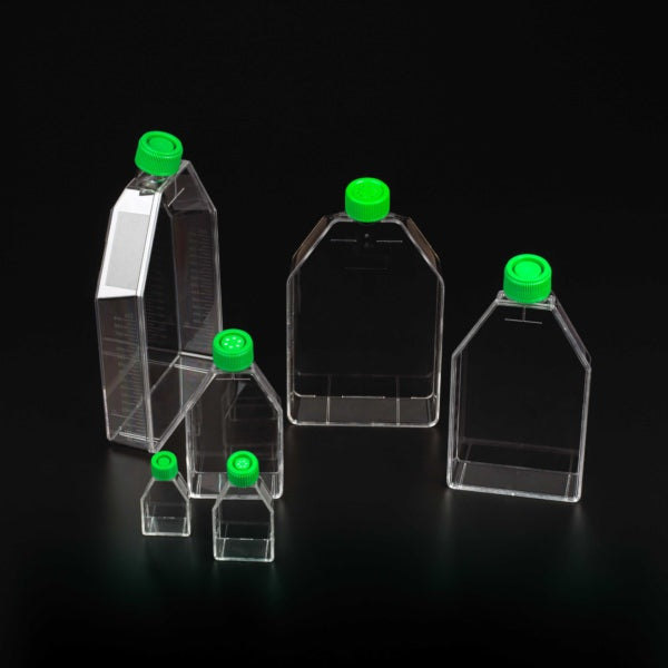 75cm Tissue Culture Flask - Plug Seal Cap, Sterile